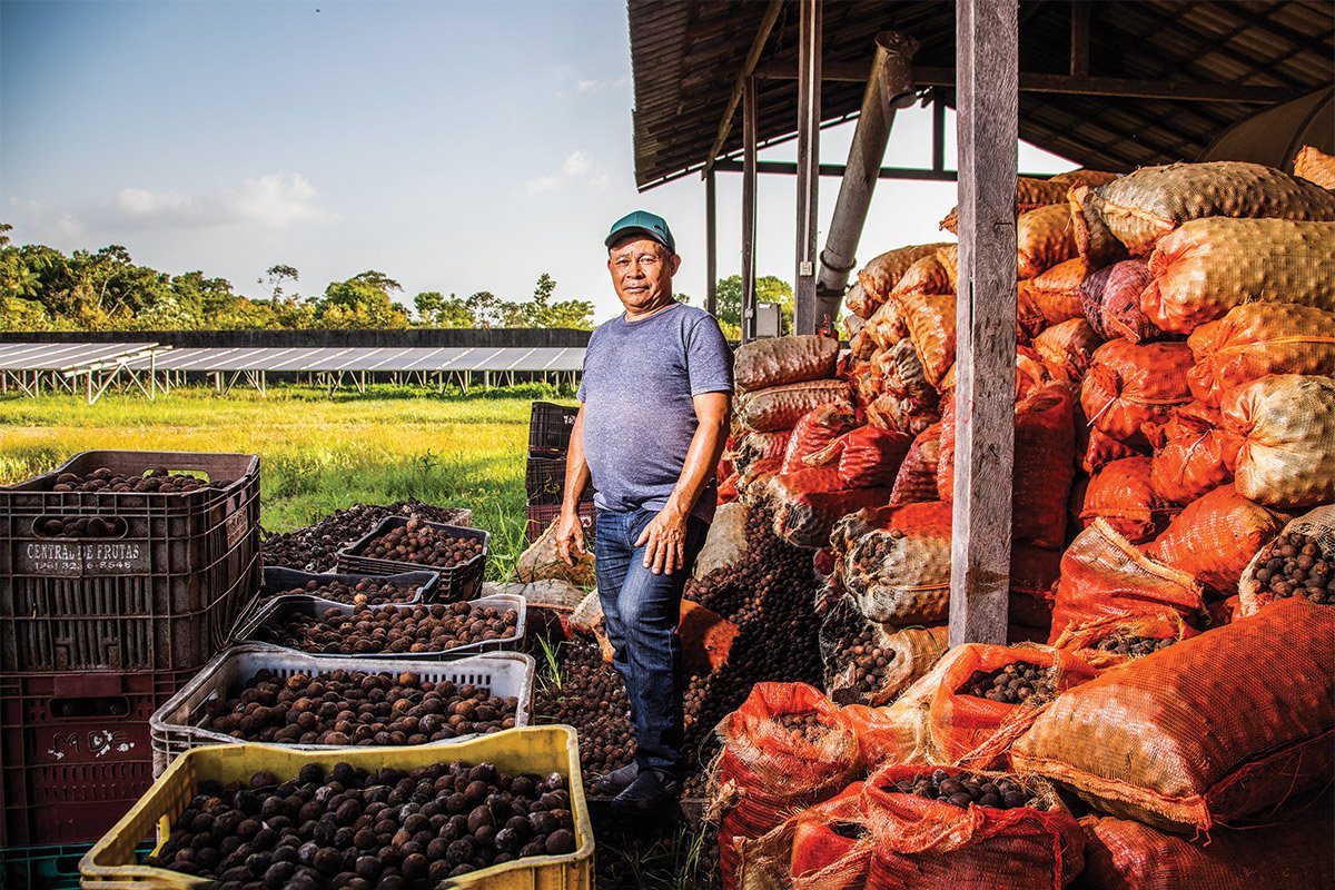 Amaz Nia Bioeconomia O Futuro Da Agricultura Brasileira Exame