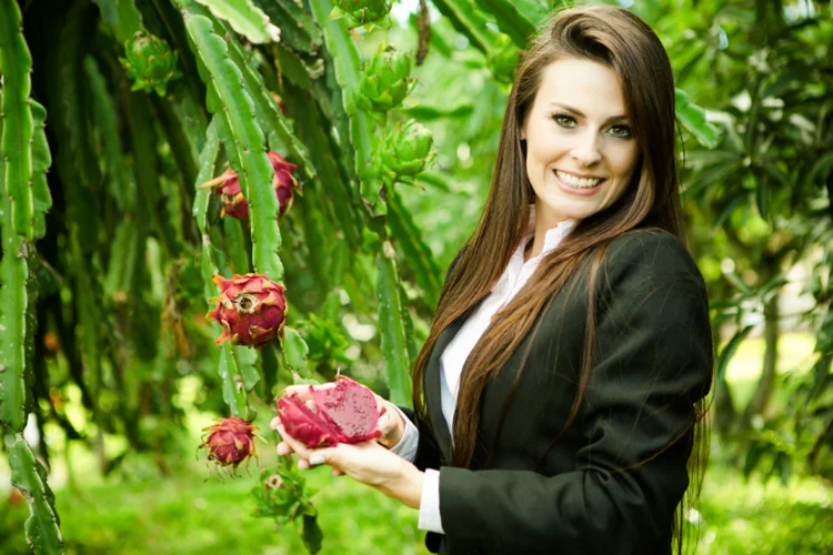 Sabrina Sartori, do Empório Sartori: ela trocou os computadores por algo que estava na família havia anos – uma coleção de frutas (Divulgação)