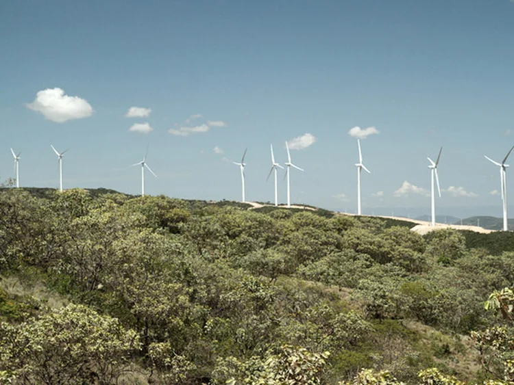 Parque eólico: Renova pode concluir projeto que mudaria empresa de patamar (Renova Energia/Divulgação)