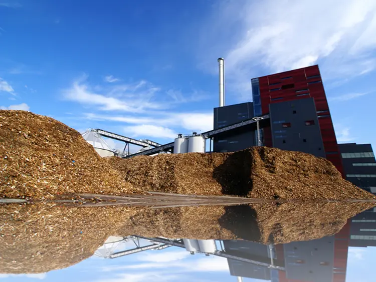 Biomassa: a geração de energia por meio de fontes renováveis, como o resto da trituração de madeira, é cada vez mais atraente (Shutterstock/Reprodução)