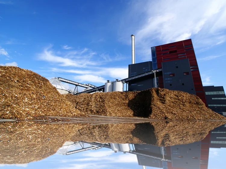 Biomassa: atualmente a Eldorado tem potência instalada para produzir até 220 MW/h de energia de biomassa de eucalipto (Shutterstock/Reprodução)