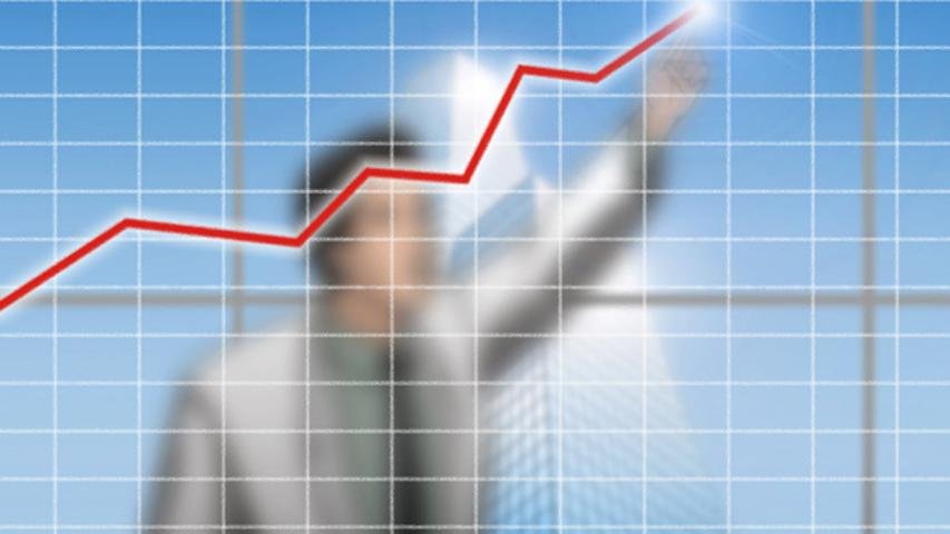 Os passos para organizar as finanças da sua empresa
