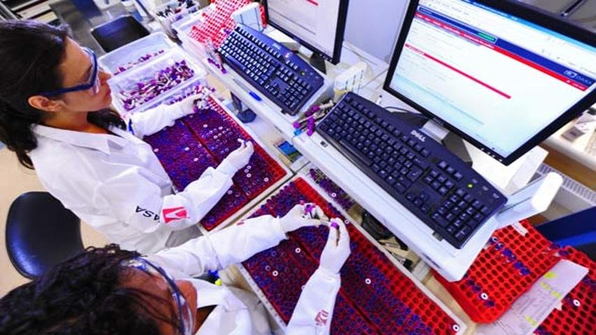Ibovespa em alta, Dasa e Gol são destaques