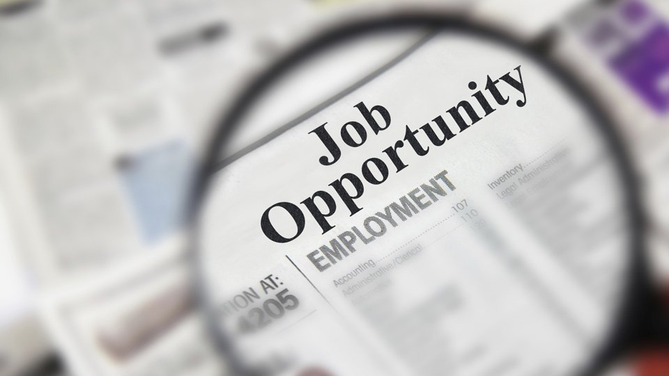 Em ano de crise, qual área lidera a oferta de emprego?