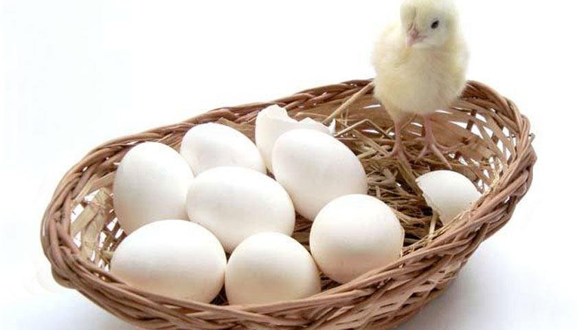 Qual a primeira diversificação que devo fazer ao investir?