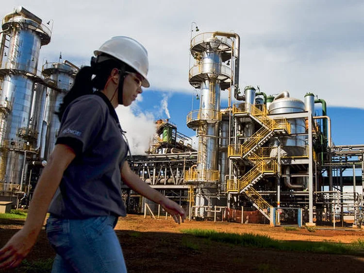 Bunge: no ano passado, problemas climáticos reduziram as colheitas de soja e milho no Brasil para abaixo das expectativas iniciais