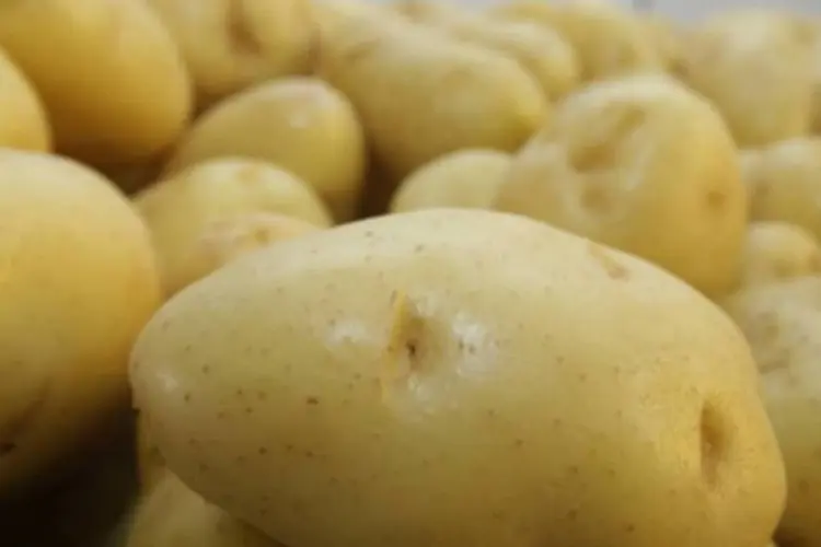 
	Batatas: a batata inglesa, que intensificou a queda em fevereiro (-3,28% para -8,12%), est&aacute; entre os itens que v&atilde;o acelerar
 (Marcos Santos/USP Imagens)