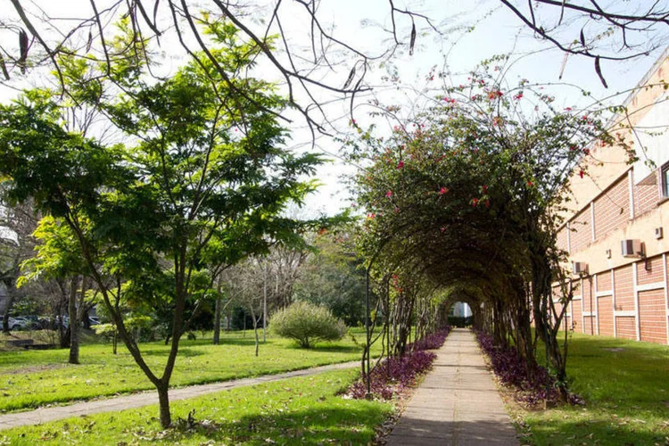 
	USP: procurada, a Universidade de S&atilde;o Paulo ainda n&atilde;o se manifestou
 (Marcos Santos/USP Imagens)