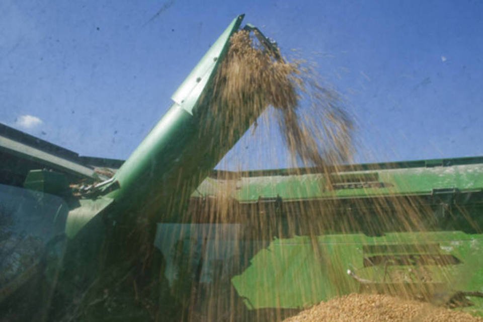 Cultivo de soja em 13/14 no país atinge 59% da área prevista