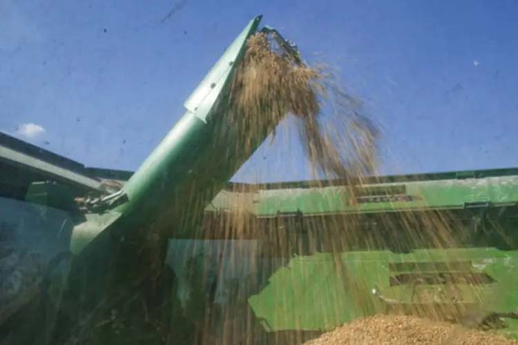 
	Fazendeiro realiza a colheita da soja: com uma safra acima de 90 milh&otilde;es de toneladas, o Brasil dever&aacute; assumir a lideran&ccedil;a na produ&ccedil;&atilde;o global de soja, desbancando os Estados Unidos
 (Darren Hauck/Getty Images)