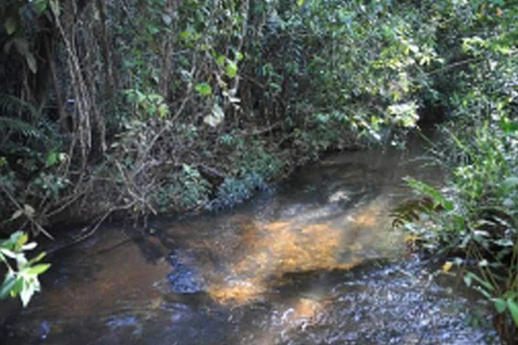 
	Paisagem do Parque Nacional da Chapada dos Guimar&atilde;es: o parque, criado em 1989, ainda disputa a posse de mais de 82% de seu territ&oacute;rio
 (Abr)