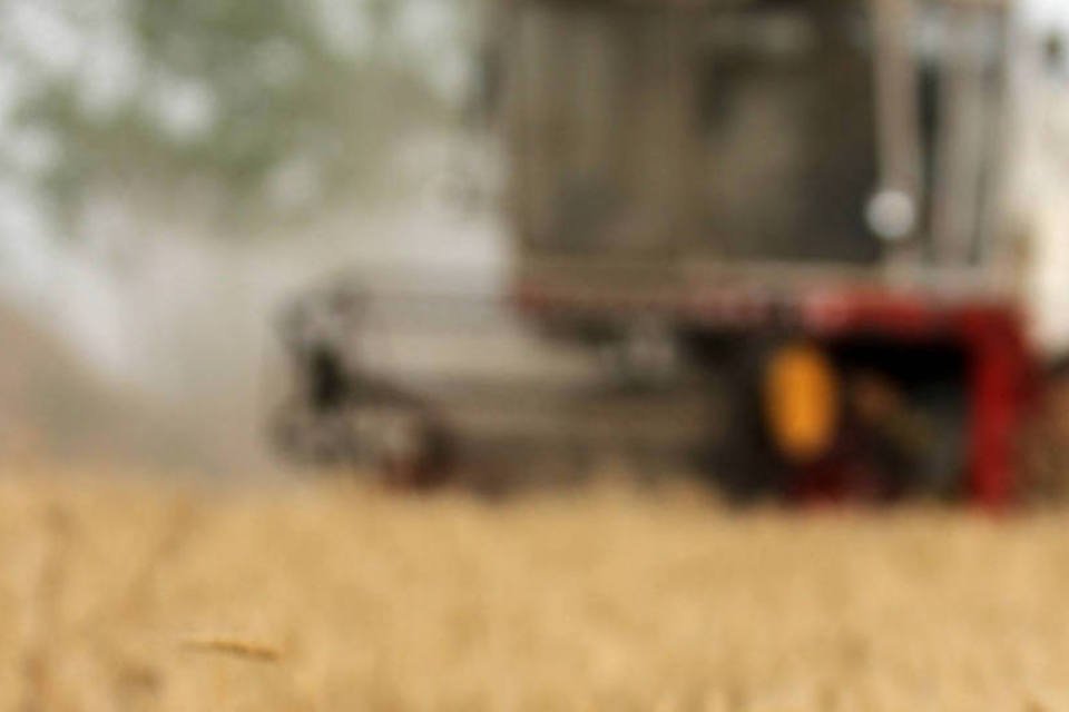 Coceral eleva estimativa para safra de trigo da UE em 2014