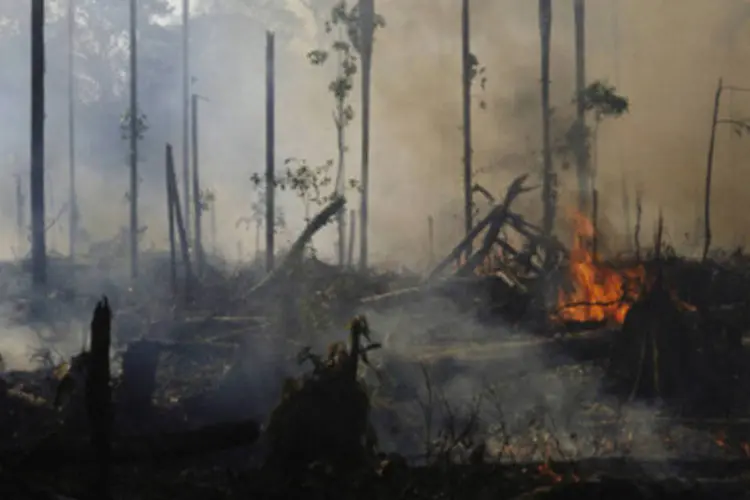 Queimada: pesquisadores fizeram mapeamento das emissões diretas por atividade produtiva separando a Região Amazônica do restante do Brasil (Getty Images)