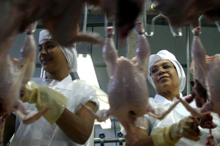 
	Frangos para exporta&ccedil;&atilde;o s&atilde;o preparados em um frigor&iacute;fico:&nbsp;setor v&ecirc; recupera&ccedil;&atilde;o no mercado interno, assim como vendas externas para novos mercados
 (Marcos Issa/Bloomberg News)
