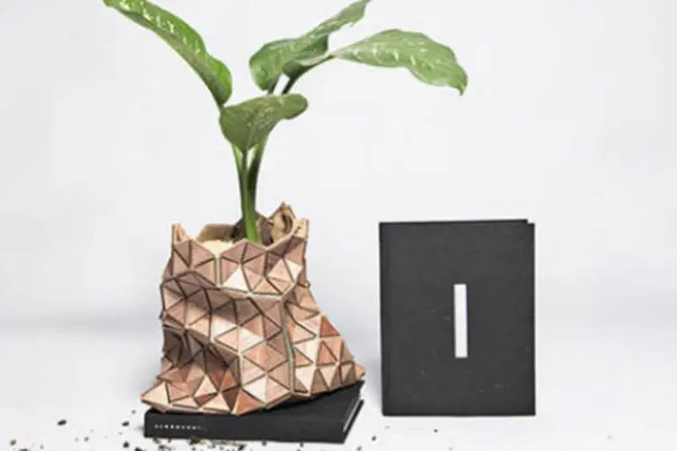Embalagem de livro biodegradável vira vaso.  (Reprodução / http://mfutura.mx/)