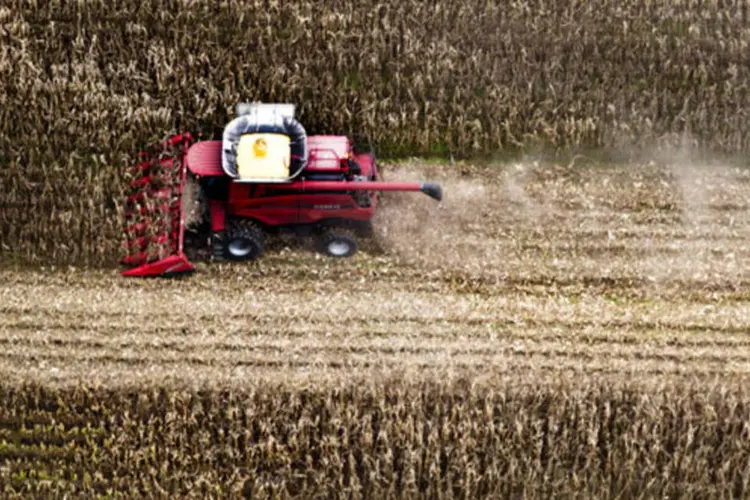 
	Colheira de milho: proje&ccedil;&atilde;o para a produtividade do milho foi reduzida a 158,6 bushels por acre, contra 160 bushels por acre previstos anteriormente
 (Ty Wright/Bloomberg)