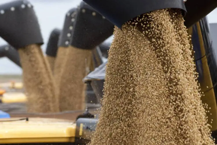 
	Colheitas de soja: produ&ccedil;&atilde;o brasileira de soja, estimada em janeiro pela Safras em 91,80 milh&otilde;es de toneladas, foi reduzida para 86,14 milh&otilde;es de toneladas
 (Paulo Fridman/Bloomberg)