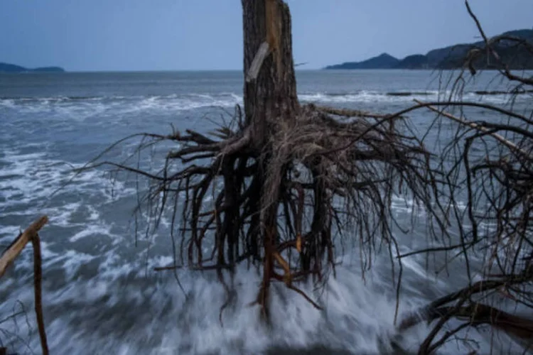 
	O tsunami, com ondas de 90 cent&iacute;metros, destruiu tr&ecirc;s aldeias pr&oacute;ximas a Lata, a capital provincial, que foi a &aacute;rea mais atingida pela cat&aacute;strofe natural
 (Daniel Berehulak/Getty Images)