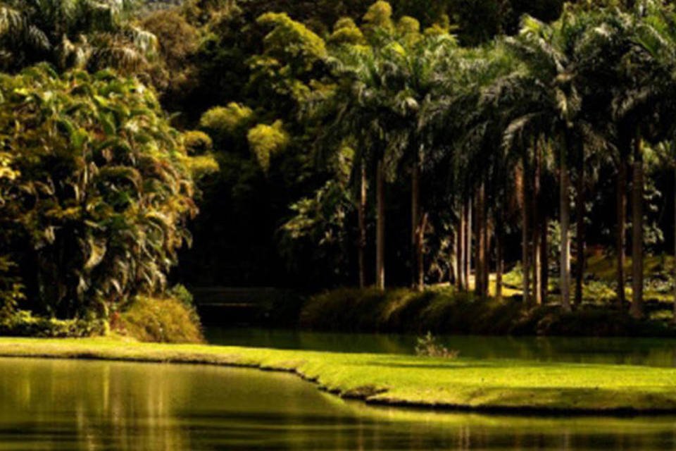Os 10 jardins mais bonitos do mundo