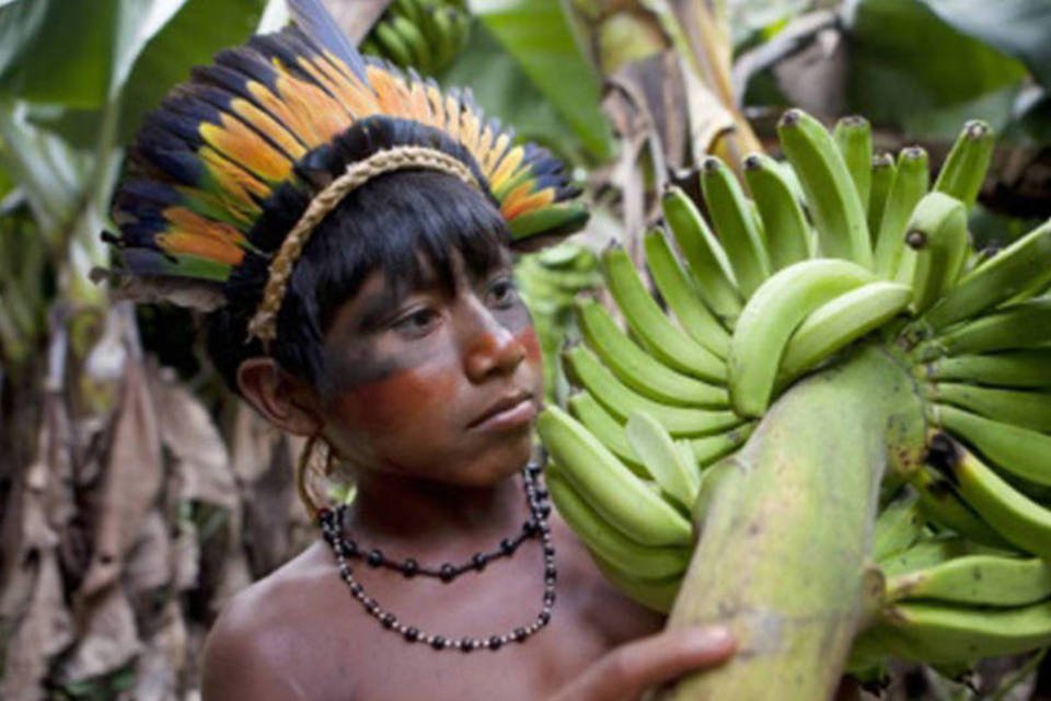 Aumentam as doenças crônicas entre indígenas do Xingu