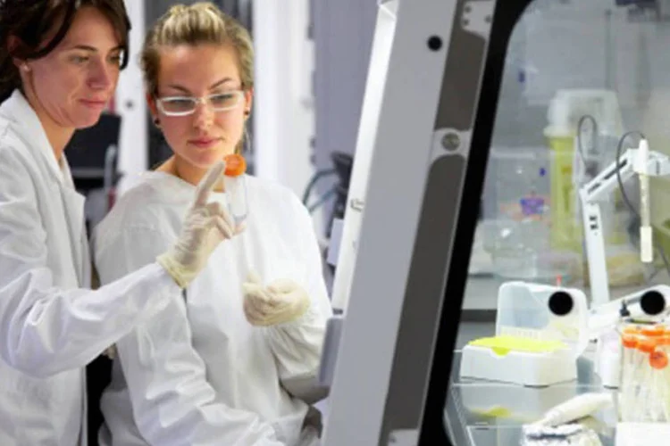 
	Anvisa: foram doados 5.131 embri&otilde;es, ainda que sejam feitas poucas pesquisas com c&eacute;lulas-tronco
 (Getty Images)