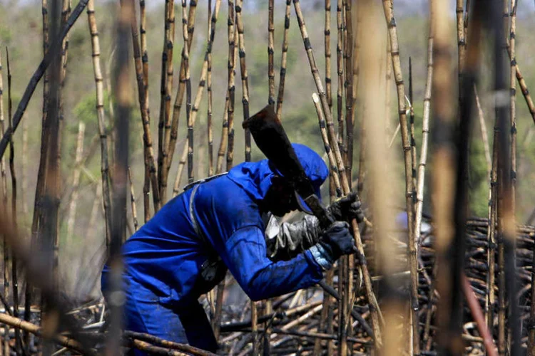 
	Trabalhador colhendo cana de a&ccedil;&uacute;car: expectativa &eacute; de que exporta&ccedil;&otilde;es de etanol atinjam 2,7 bilh&otilde;es de litros, cerca de 40% abaixo da safra anterior, segundo Padua Rodrigues
 (Adriano Machado/Bloomberg)