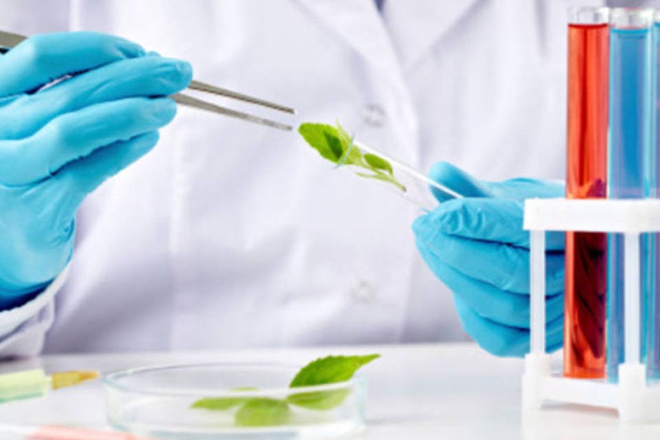 SciELO África do Sul obtém certificação