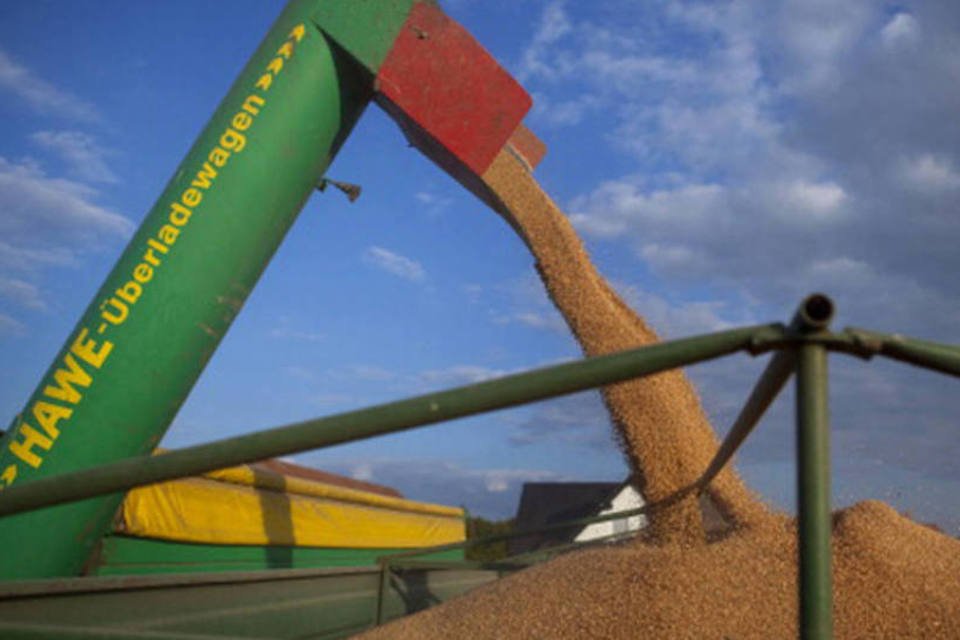 Rússia eleva previsão de safra de grãos em 3% para 100 mi t
