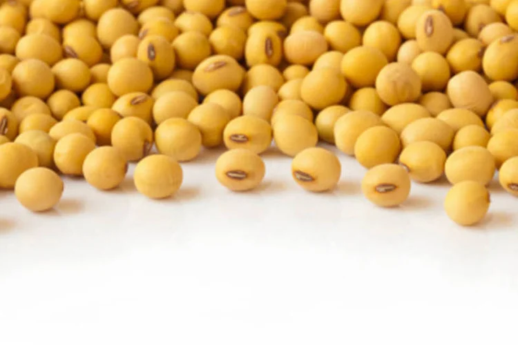 
	Soja: alguns compradores de commodities da China j&aacute; amea&ccedil;aram dar calote, ou cancelar a compra de cargas, para for&ccedil;ar os vendedores a oferecem pre&ccedil;os mais baixos
 (Getty Images)