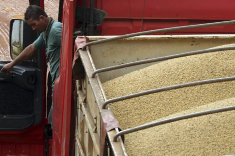Motorista espera caminhão ser carregado com grãos de soja na indústria agrícola Alvorada na cidade de Primavera do Leste, no Mato Grosso (Paulo Whitaker/Reuters)