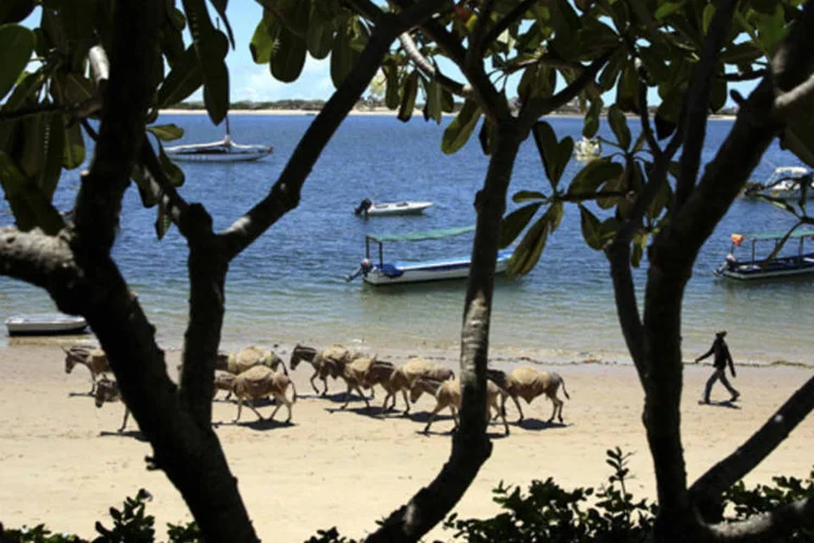 
	&nbsp;

	S&eacute;rie de ataques prejudicou as perspectivas de crescimento e investimentos no litoral do Qu&ecirc;nia
 (Goran Tomasevic/Reuters)
