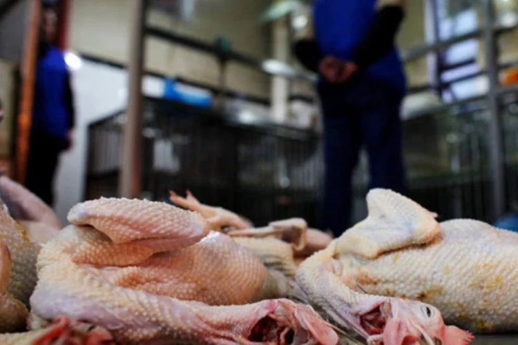 Frangos no chão de um mercado no centro de Xangai, na China (Carlos Barria/Reuters)