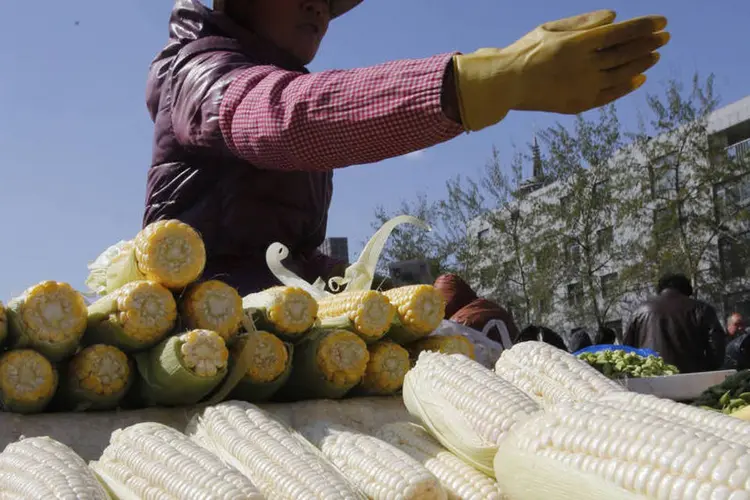 Vendedor vende milho verde no mercado matutino de Pequim, na China (Kim Kyung-Hoon/Reuters)