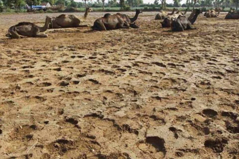 Produtores da Índia rezam por fim de vários anos de seca