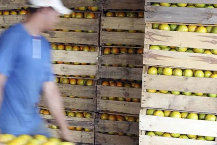 
	Trabalhador carrega caixas de laranja em fazenda em Limeira: seis dos oito grupos desaceleraram a alta de pre&ccedil;os, com destaque para Alimenta&ccedil;&atilde;o, com alta de 0,95%
 (Paulo Whitaker/Reuters)