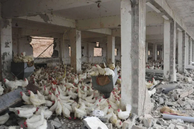 Granja aparece destruída após ataque aéreo próximo de Damasco, na Síria (SANA/Reuters)