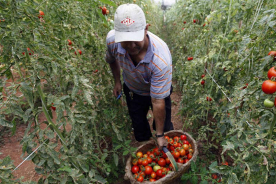 Preços ao produtor brasileiro aceleram alta a 0,35%