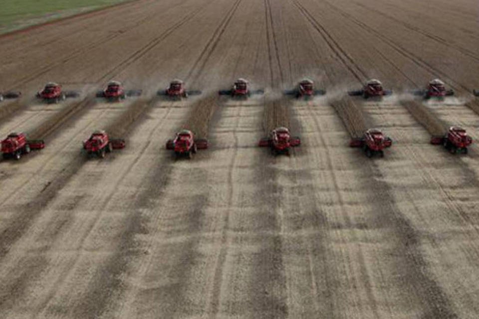 Produtos básicos impulsionam exportações no ano