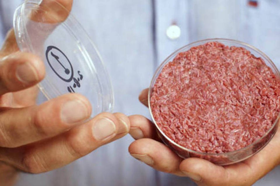 Carne artificial pode começar a ser vendida em cinco anos