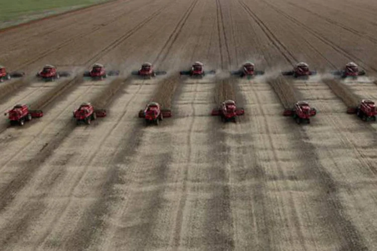 
	Colheita de soja: receita l&iacute;quida da SLC Agr&iacute;cola aumentou 0,2 por cento no terceiro trimestre, na compara&ccedil;&atilde;o anual
 (Paulo Whitaker/Reuters)