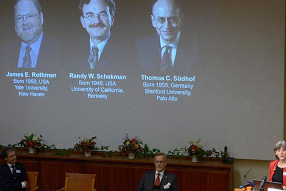 Dois americanos e 1 alemão compartilham Nobel de Medicina