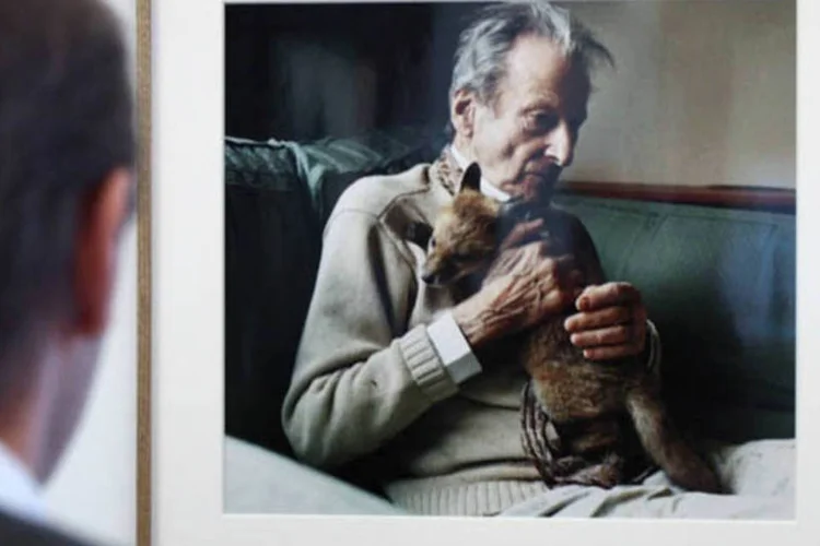 David Dawson, que trabalhou com o pintor britânico Lucian Freud, olha para uma de suas fotografias no museu Sigmund Freud, em Viena (Heinz-Peter Bader/Reuters)