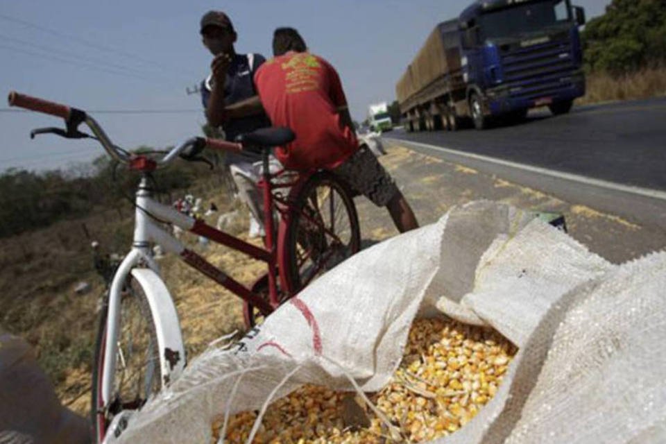 Exportador de grãos descarta novo prejuízo em 2014