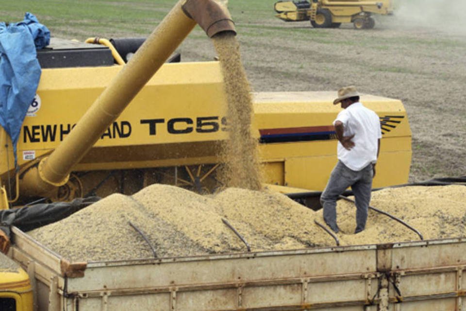 Agricultores de Mato Grosso começam colheita de soja