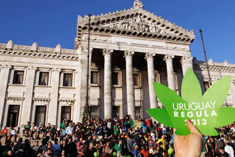 
	Apoiadores da Lei da Maconha: legaliza&ccedil;&atilde;o do uso da maconha e casamento gay levaram o Uruguai aos holofotes mundiais em 2013
 (REUTERS/Andres Stapff)