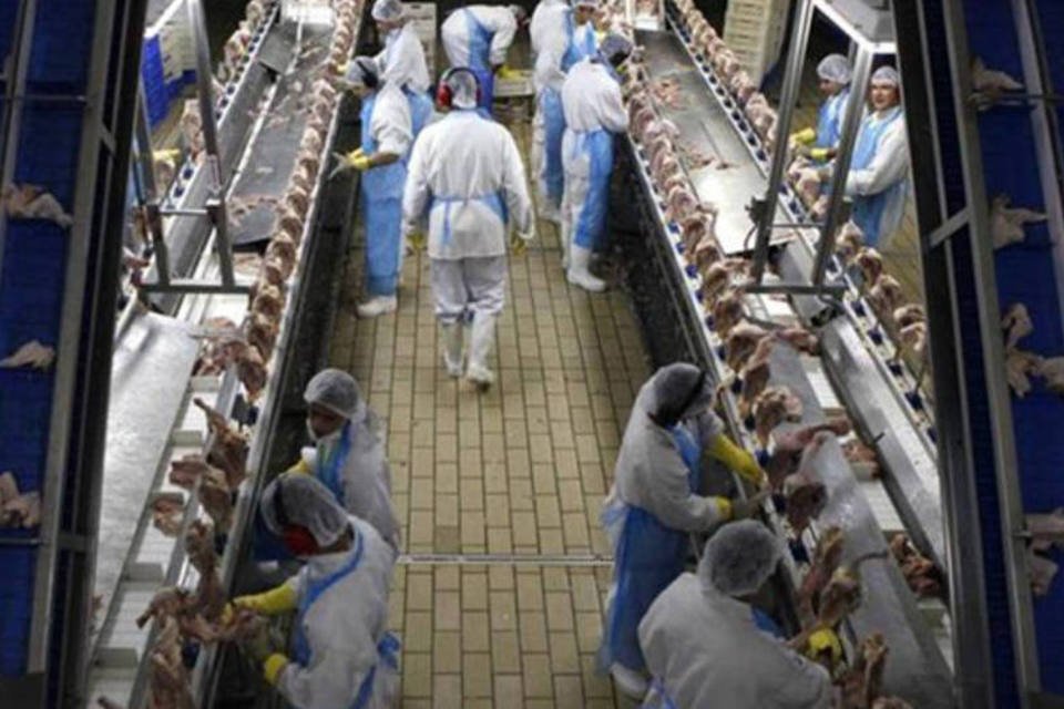 Exportações brasileiras de frango crescem 3% em janeiro