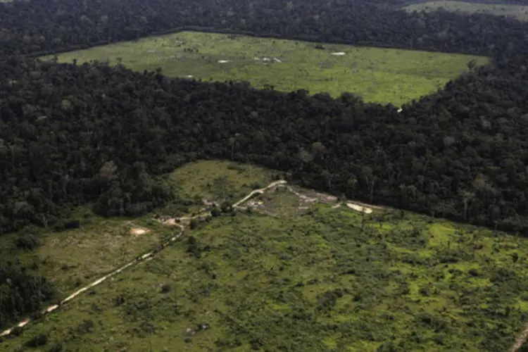 
	Floresta amaz&ocirc;nica desmatada: de 1995 at&eacute; o ano passado o governo federal e os governos estaduais de Rond&ocirc;nia, Mato Grosso e Par&aacute; retiraram a prote&ccedil;&atilde;o de 2,5 milh&otilde;es de hectares
 (Reuters/Reuters)