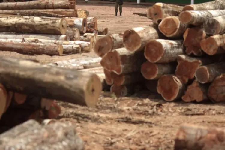 
	Desmatamento: investidores alertaram que sem envolvimento corporativo o programa para proteger florestas ir&aacute; fracassar
 (Ricardo Moraes/Reuters)