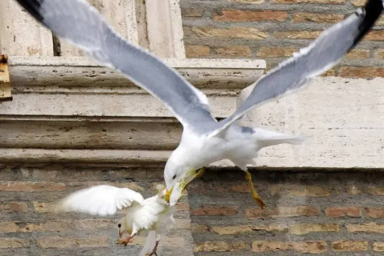 Pomba lançada pelo papa Francisco é atacada por uma gaivota na Praça de São Pedro, no Vaticano (Alessandro Bianchi/Reuters)
