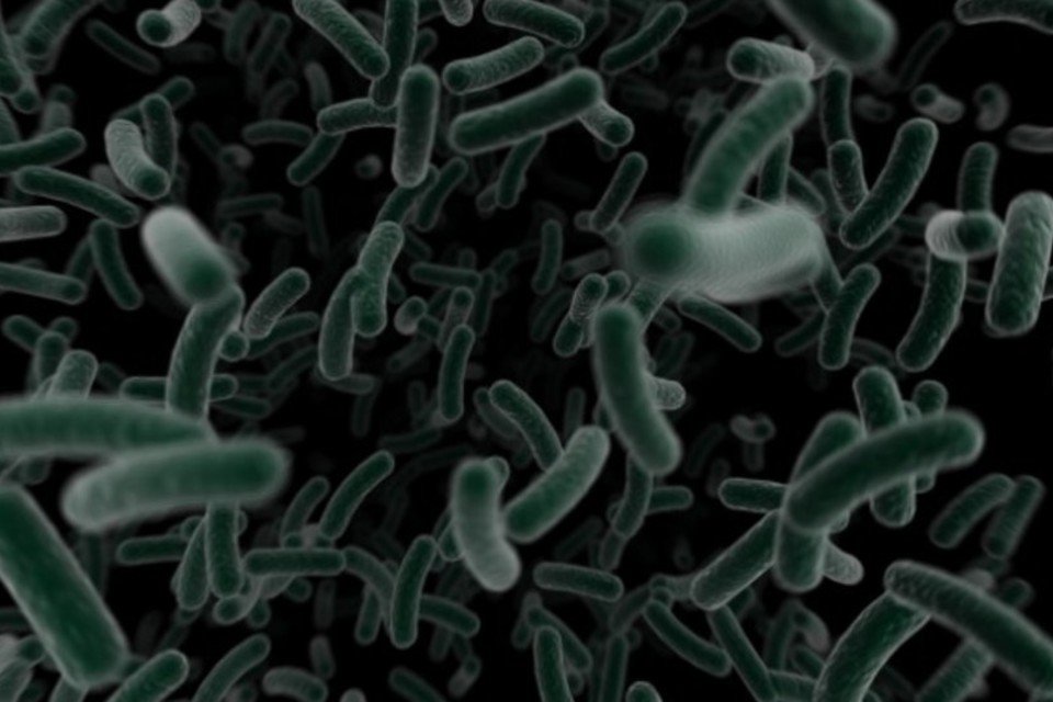 Bactérias acham rotas por implantes para infectar pacientes